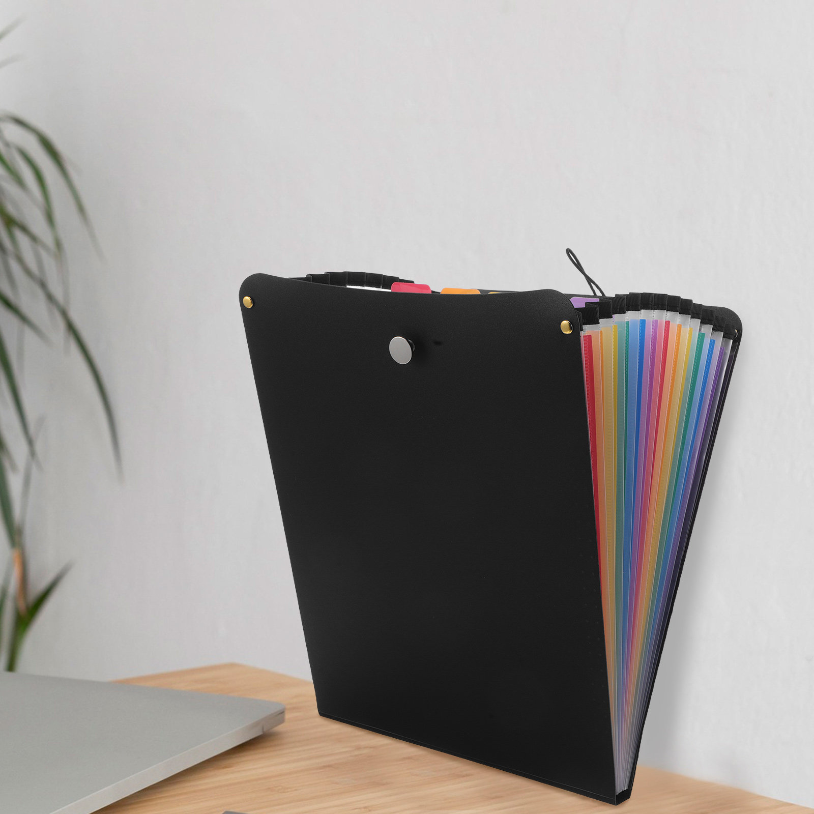 A4 사이즈 아코디언 파일 정리함, 13칸 플라스틱 확 - Expandable Accordion File Folder 13 Pockets 리뷰 및 가격